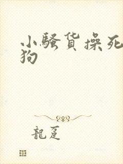小骚货操死你母狗封面