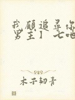 我愿追寻你【双男主】 七吔封面