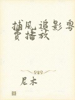 捕风追影粤语免费播放