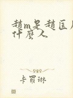 赵m是赵匡胤的什么人