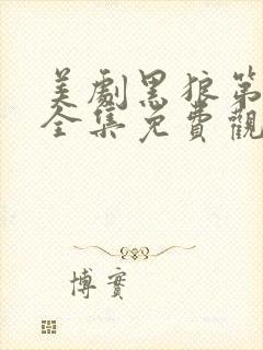 美剧黑狼第一季全集免费观看