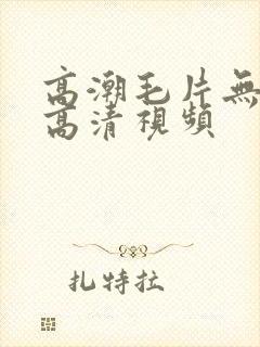 高潮毛片无遮挡高清视频