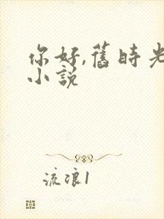 你好,旧时光 小说