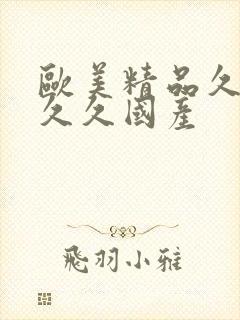 欧美精品久久久久久国产