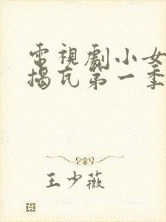 电视剧小女上房揭瓦第一季免费观看封面