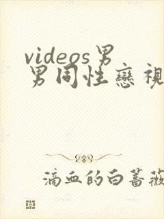 videos男男同性恋视频