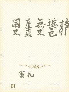 国产无遮挡又黄又爽又色91