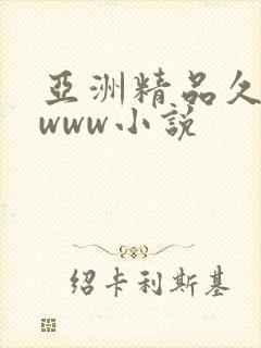 亚洲精品久久久www小说