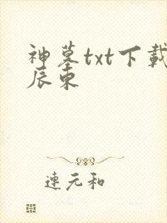 神墓txt下载辰东封面