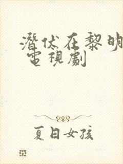 潜伏在黎明之前 电视剧封面