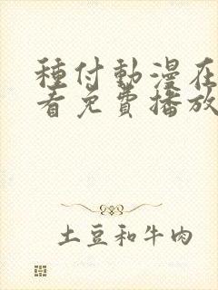 种付动漫在线观看免费播放电视剧免费观看