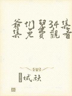 爷们儿34集全集免费观看封面