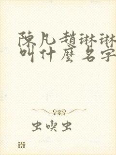 陈凡赵琳琳小说叫什么名字