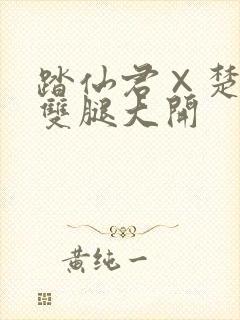 踏仙君×楚晚宁双腿大开