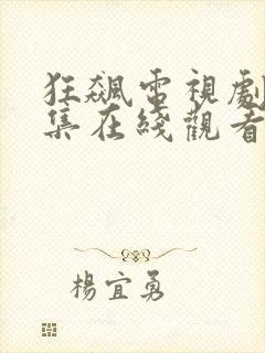 狂飙电视剧40集在线观看免费追剧网
