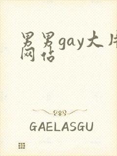 男男gay大片网站