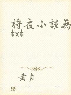 将夜小说无删减txt