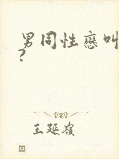 男同性恋叫什么?