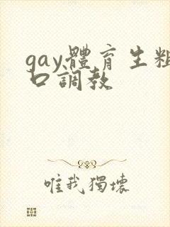 gay体育生粗口调教封面