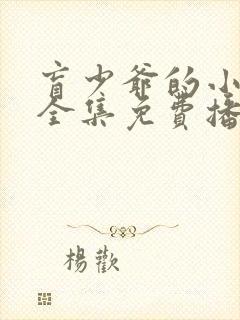 盲少爷的小女仆全集免费播放封面