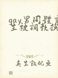 gay男同体育生被调教挨操