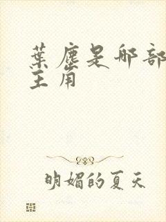 叶尘是哪部小说主角