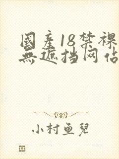 国产18禁裸体无遮挡网站