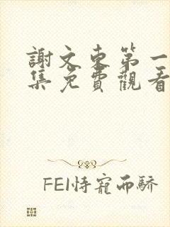 谢文东第一季全集免费观看