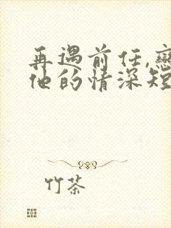 再遇前任,恋上他的情深短剧免费观看全集