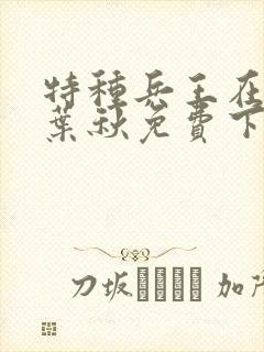 特种兵王在山村叶秋免费下载
