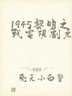 1945黎明之战电视剧免费观看封面