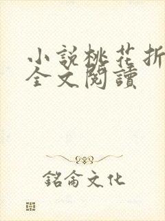 小说桃花折江山全文阅读封面