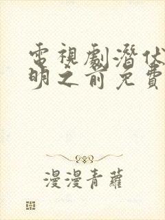电视剧潜伏在黎明之前免费观看封面