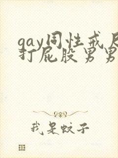 gay同性戒尺打屁股男男国产封面