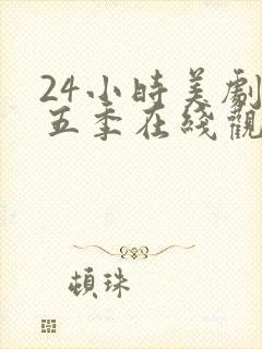 24小时美剧第五季在线观看全集免费高清封面