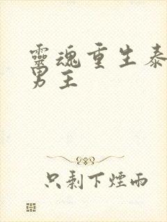 灵魂重生泰剧双男主