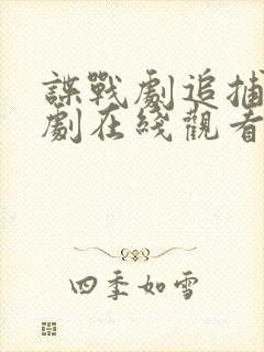 谍战剧追捕电视剧在线观看