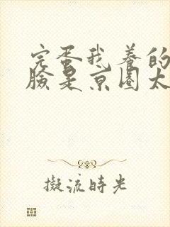 完蛋我养的小白脸是京圈太子爷短视频短剧