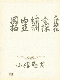 国内综合自拍偷拍亚洲探花