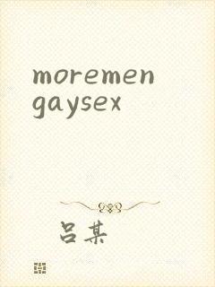 moremengaysex封面
