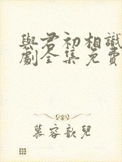 与君初相识电视剧全集免费西瓜封面