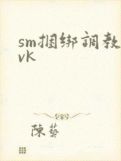 sm捆绑调教 vk