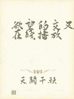 欲望的交叉点 在线播放