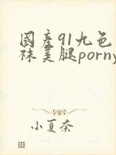 国产91九色白袜美腿porny封面