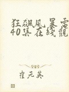 狂飙风暴电视剧40集在线观看免费