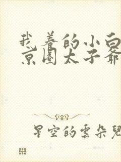 我养的小白脸是京圈太子爷短剧