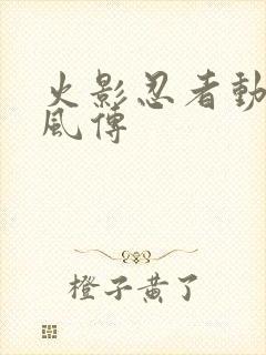 火影忍者动画疾风传