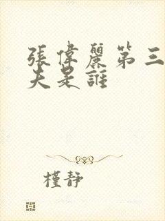 张伟丽第三任丈夫是谁