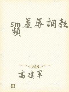 sm羞辱调教视频