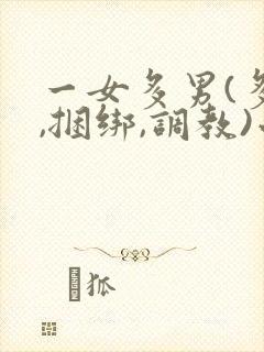 一女多男(多p,捆绑,调教)小说